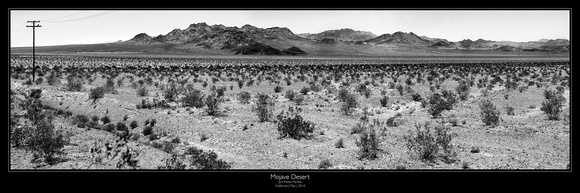 Mojave_Desert_JNP_2014