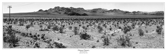 Mojave_Desert_JNP_2014