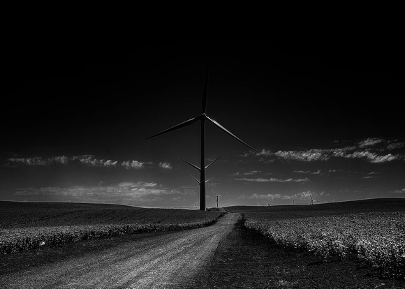 Wind Farm_4